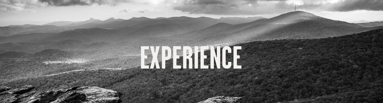 Experience